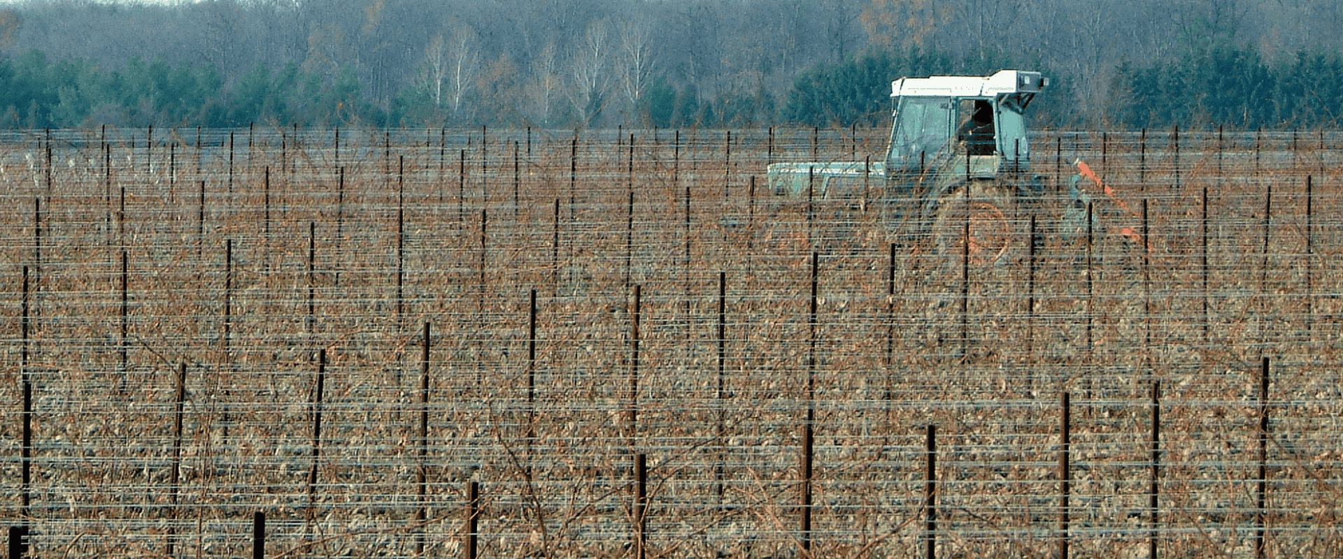 Agricultura e viticultura convencionais: hora de mudanças