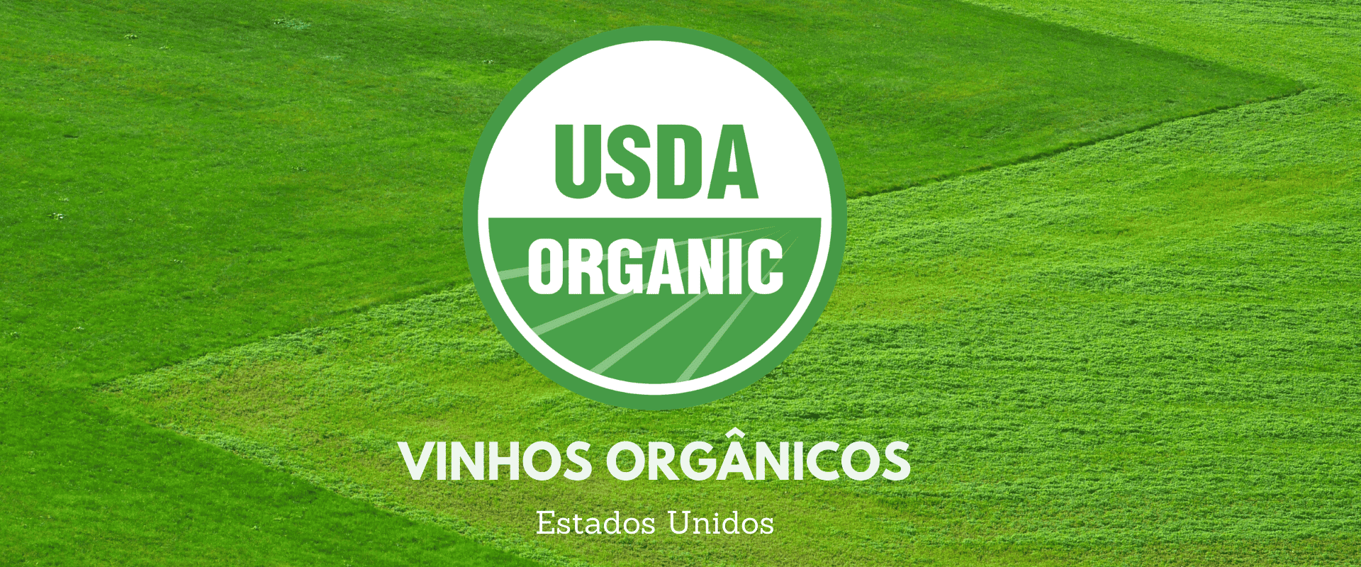 Conheça as classificações para vinhos orgânicos nos Estados Unidos
