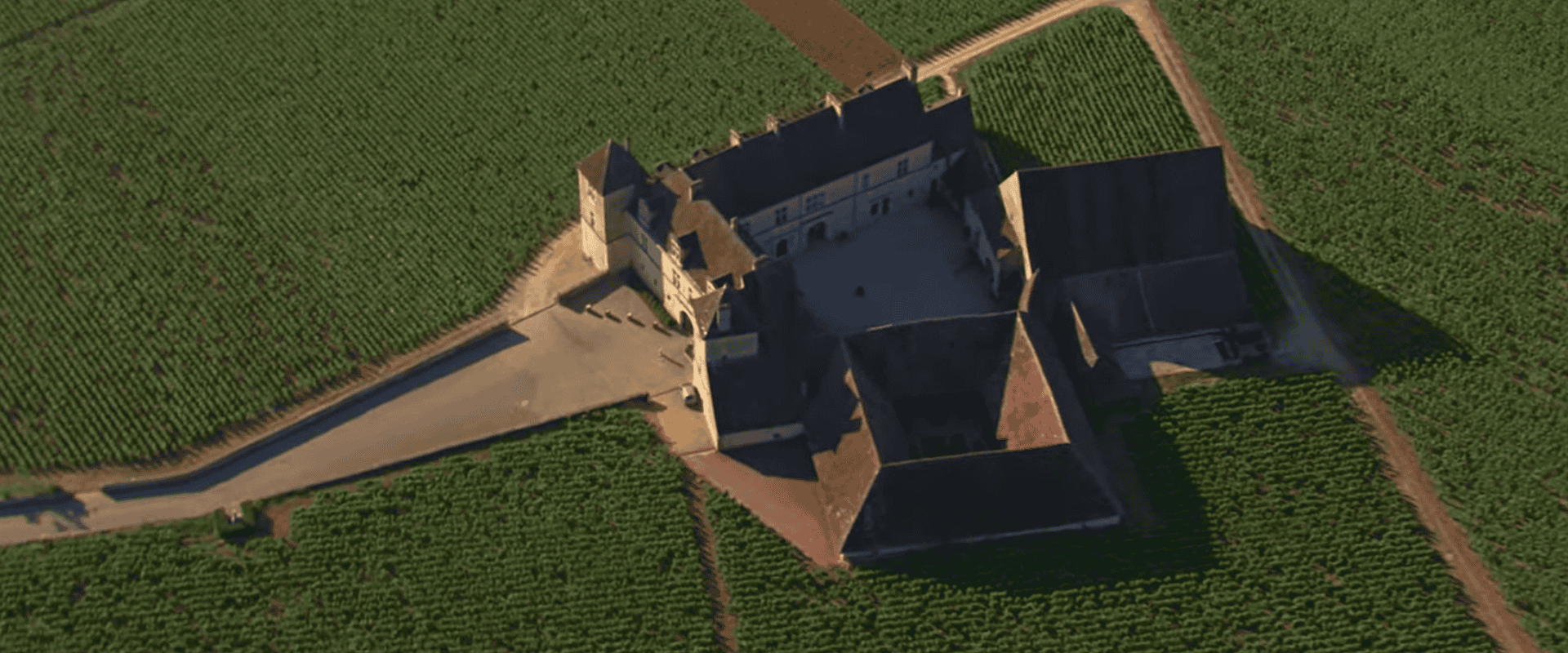 Clos de Vougeot: vinhedo icônico e muita história - Wine Fun