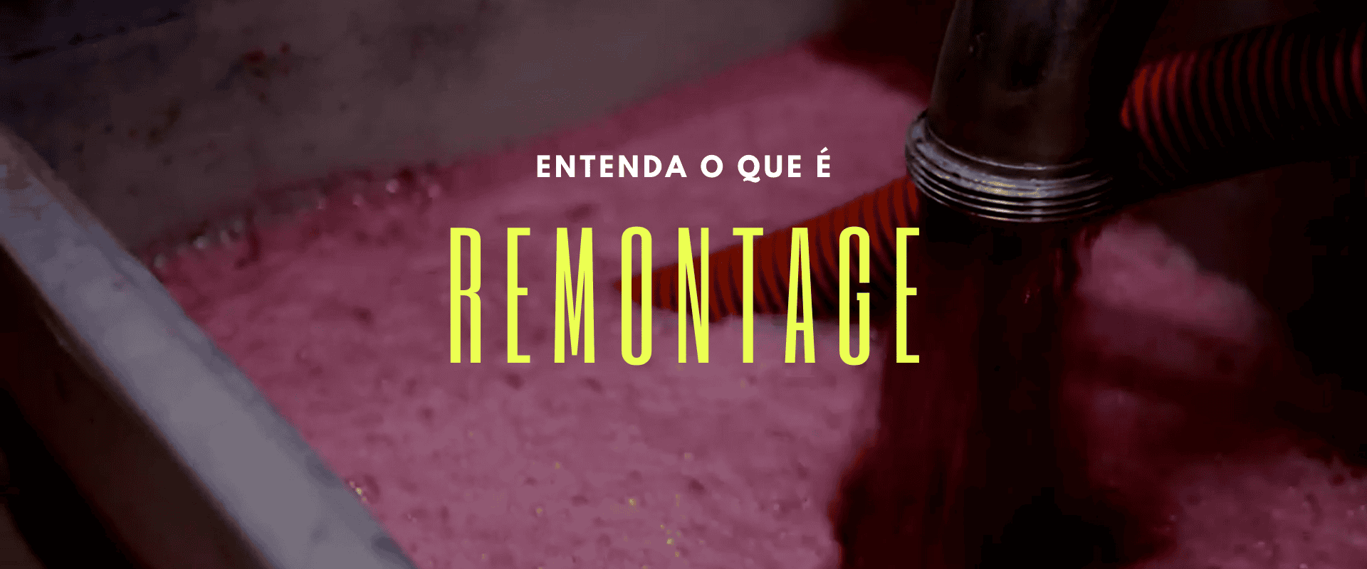 Vinificação: conheça melhor a remontage