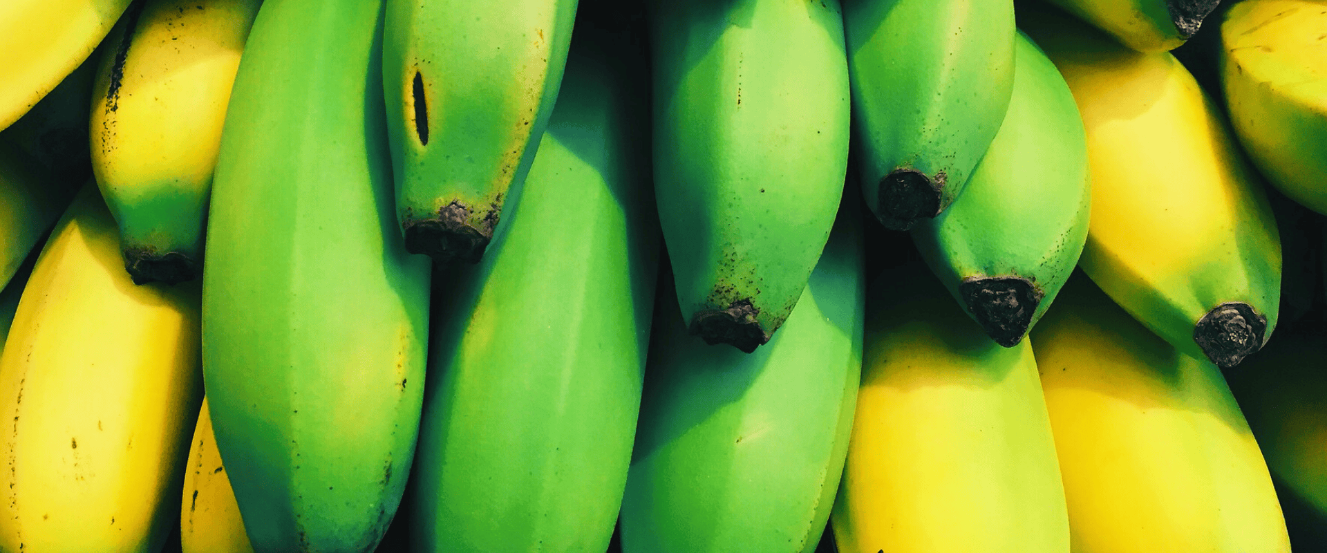 Taninos no vinho: você sabe o que isso significa?