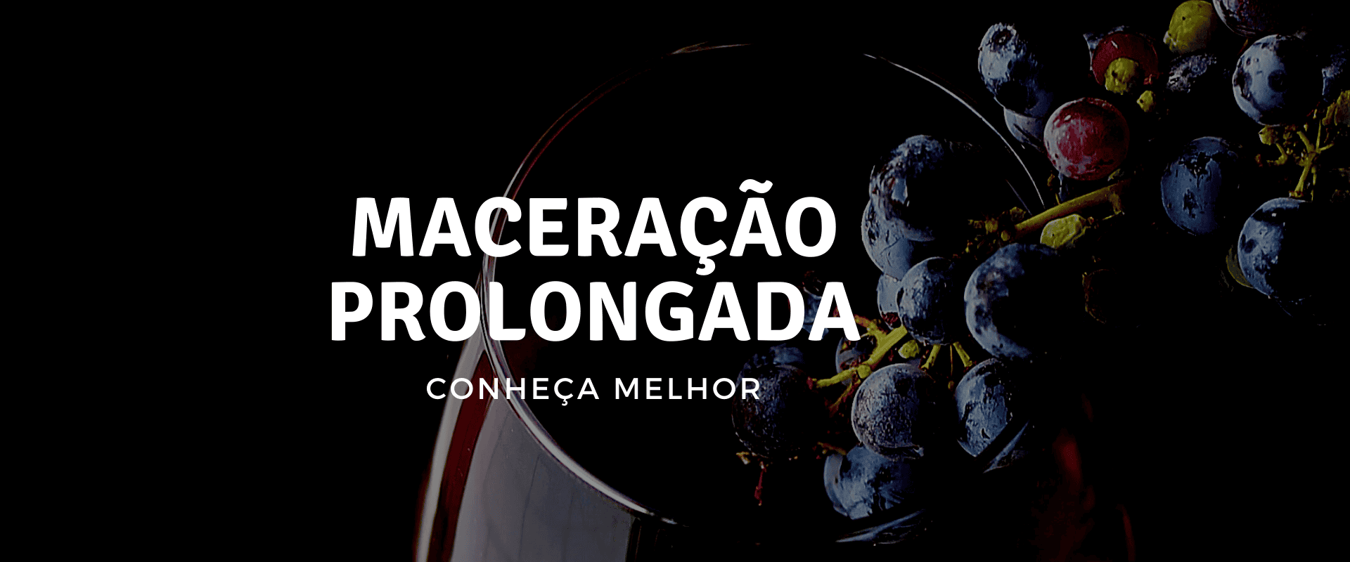 Maceração prolongada: entenda o segredo da longevidade de alguns vinhos