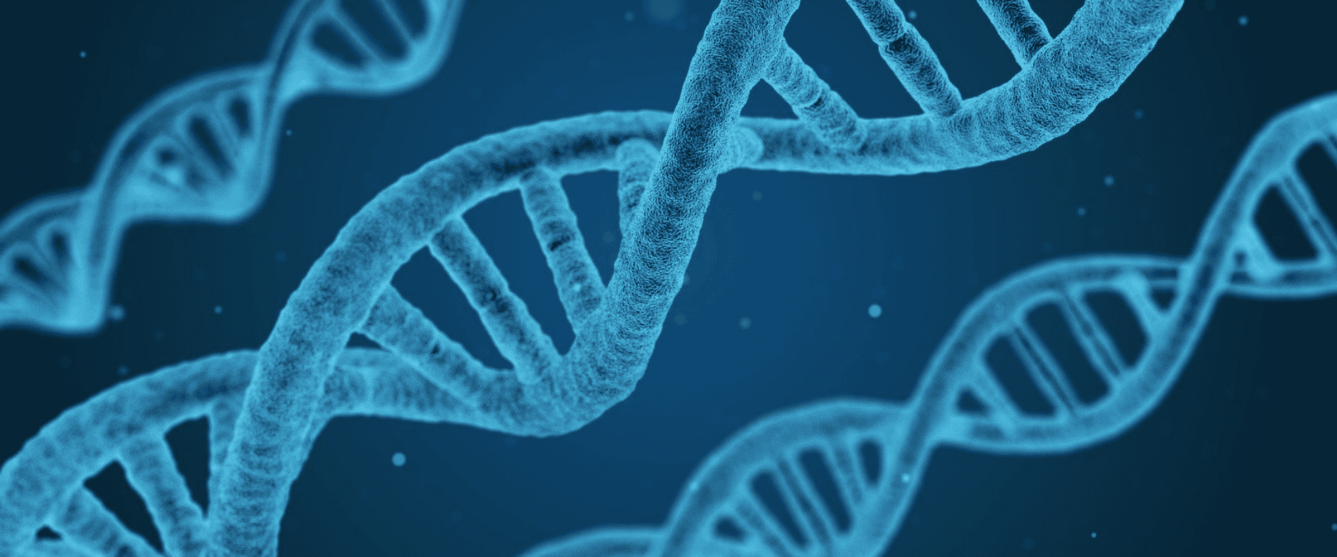 Cientistas mapeiam genoma da filoxera e solução para a praga fica mais próxima