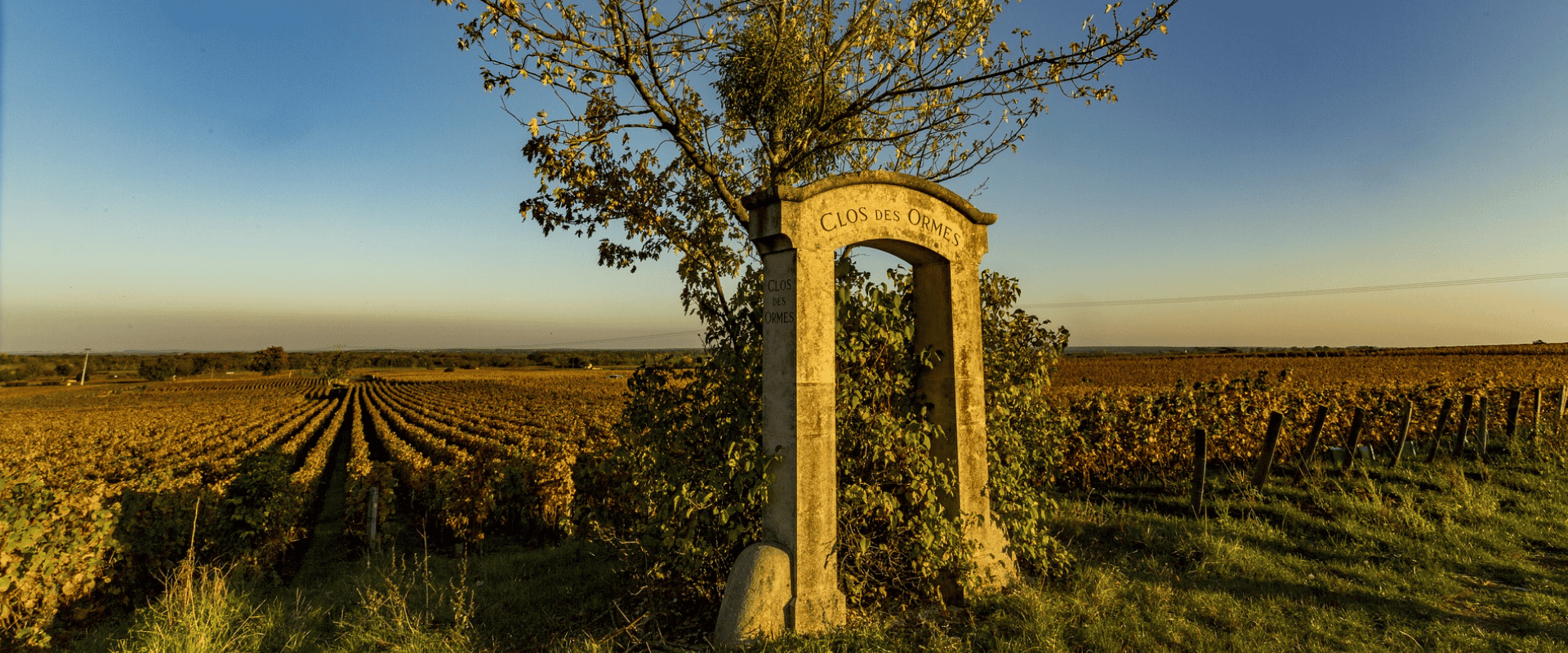 O que significa o termo "Cru", que acompanha alguns dos melhores vinhos do mundo?