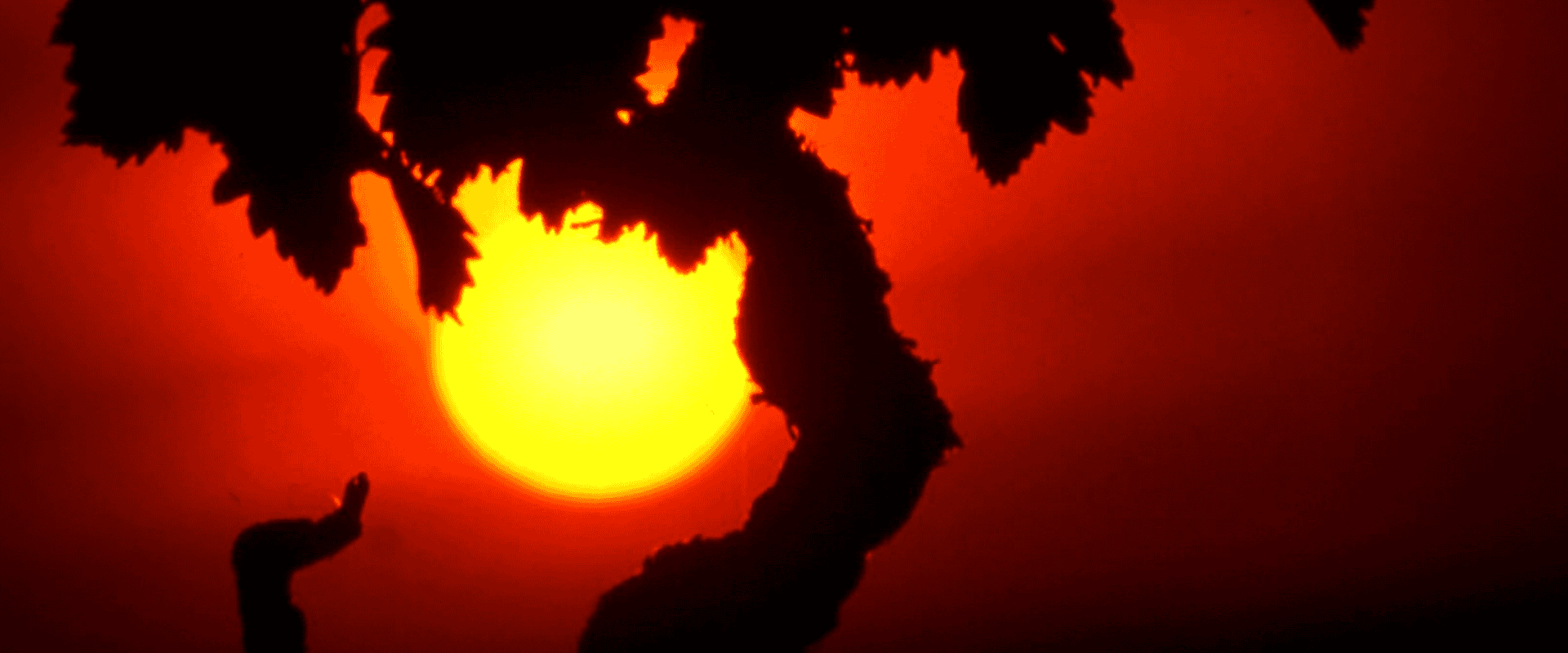 Tradição e novidades na Rioja: conheça as uvas permitidas