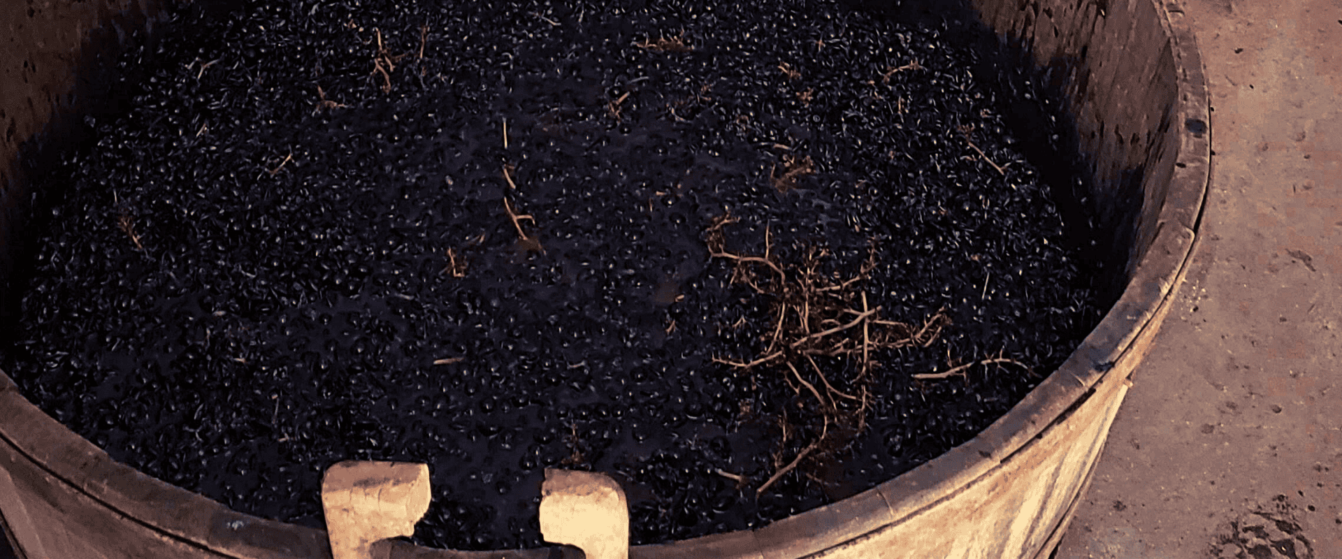 Co-fermentação: técnica ancestral que ganha cada dia mais adeptos