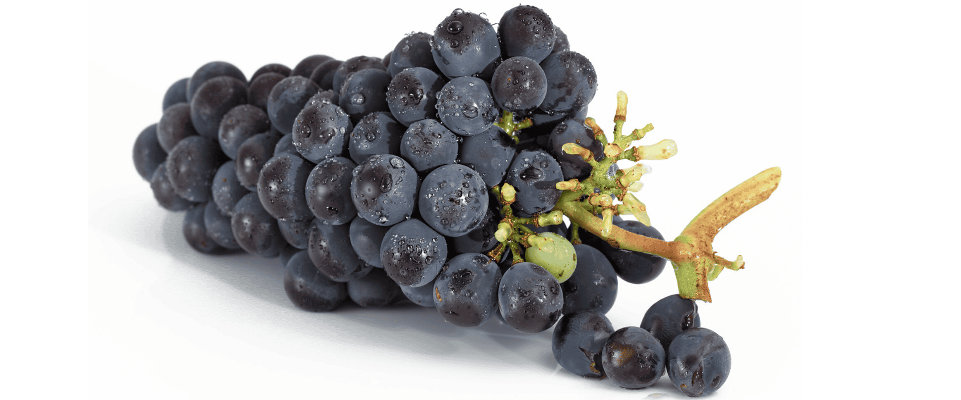 Você sabe quanto de uva é necessário para elaborar uma garrafa de vinho?