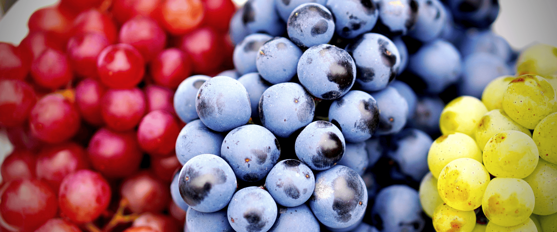 A cor de seu vinho e as antocianinas: conheça as nuances