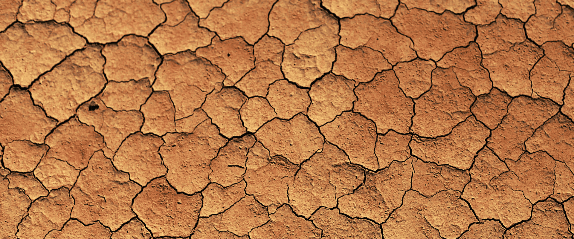 Alta temperatura e seca: aquecimento global e um novo perfil de vinhos