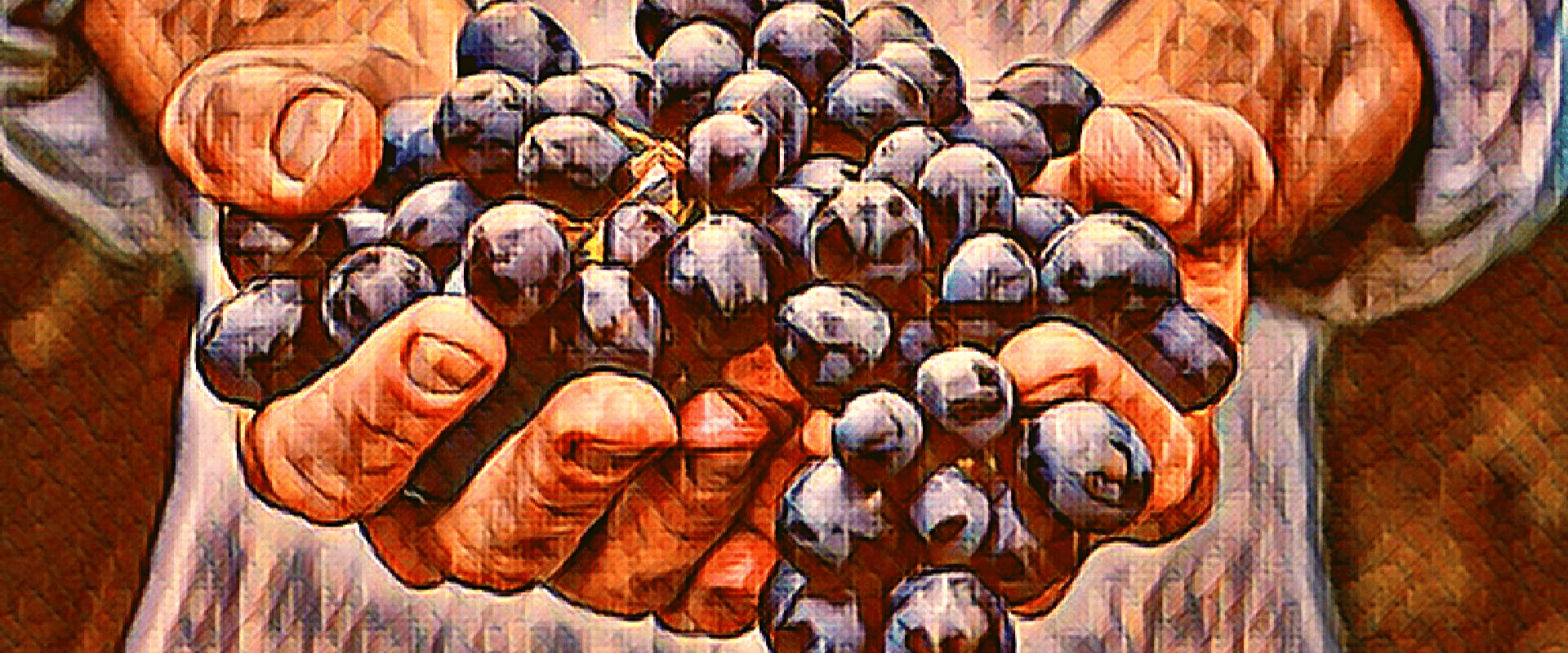 Definição oficial de vinhos naturais na Europa? Nada por enquanto, garante Comissão Europeia