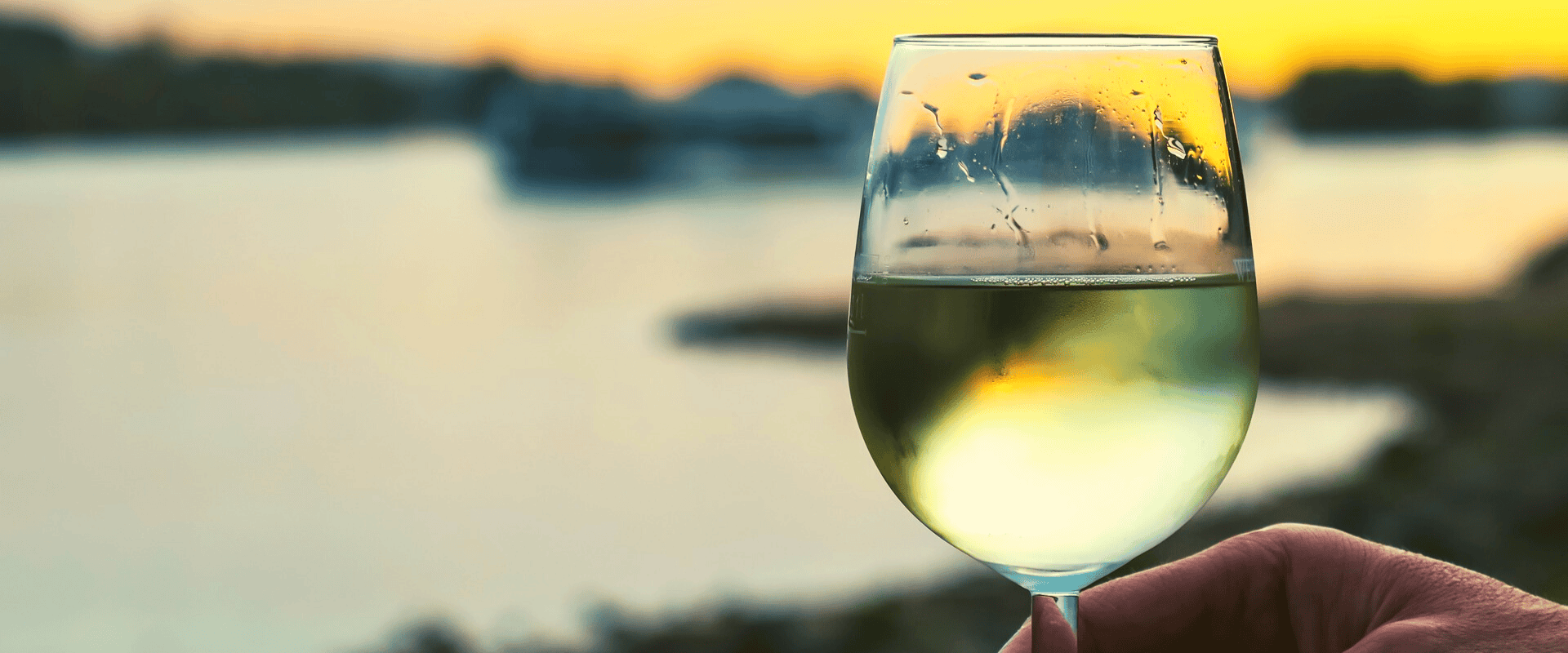 Vinhos brancos ou tintos? Hora de seguir o resto do mundo e deixar preconceitos de lado