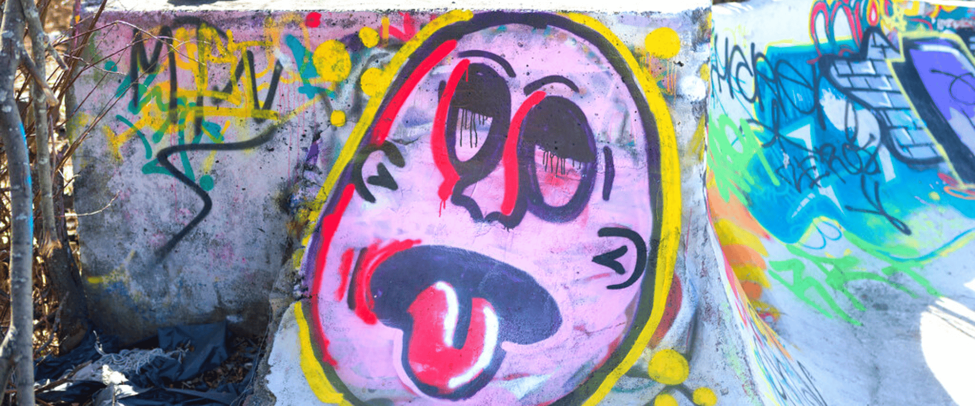 Vinho bouchonée: você sabe o que é e como detectar este defeito?