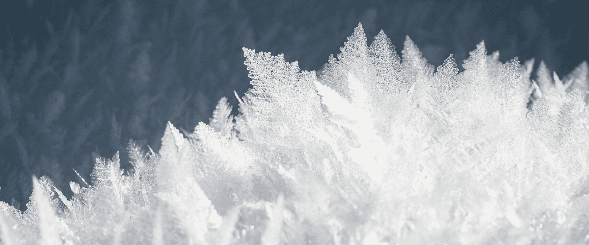 Serviço do vinho: esqueci de resfriar o espumante ou vinho branco, posso colocá-lo no freezer?