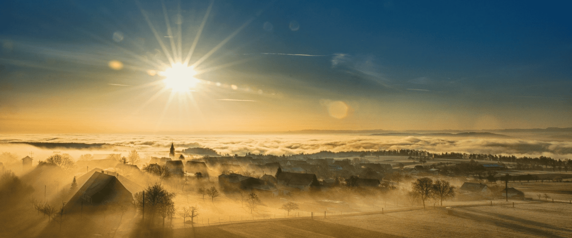 Vinho e ciência: índice tenta identificar qual variedade de uva é mais adequada para cada região