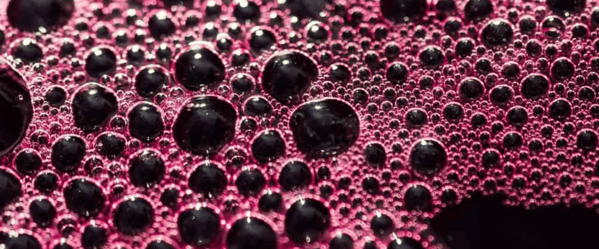 A rainha das leveduras: conheça a Saccharomyces cerevisiae