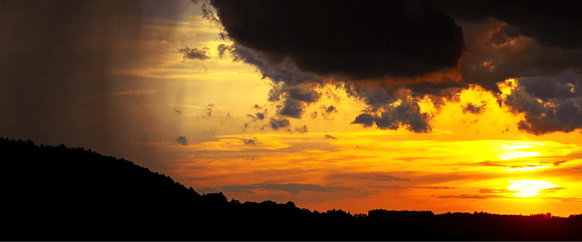 O vinho e as condições climáticas: o que seria uma safra ideal?