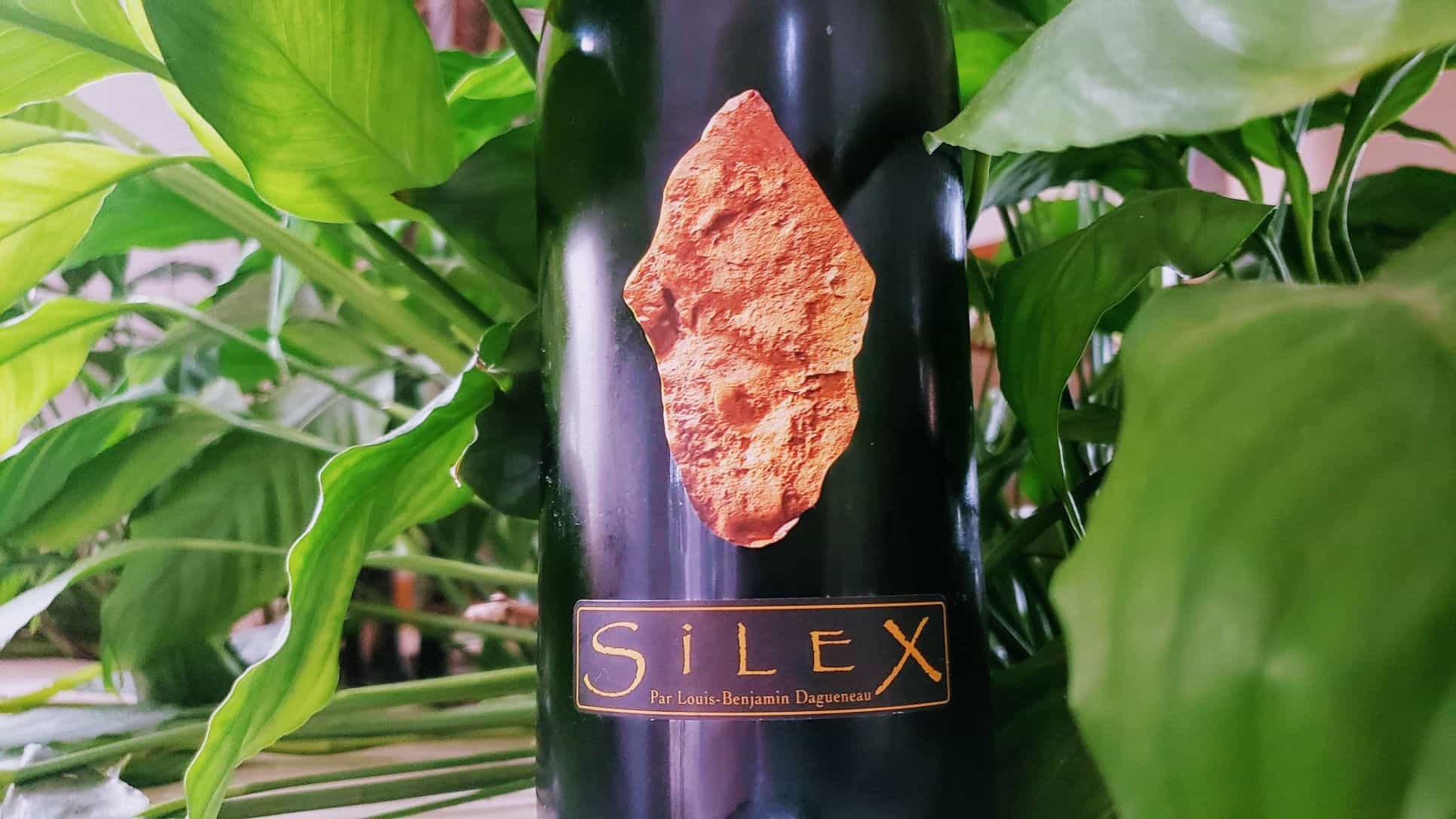 Silex 2009, Didier Dagueneau - Wine Fun
