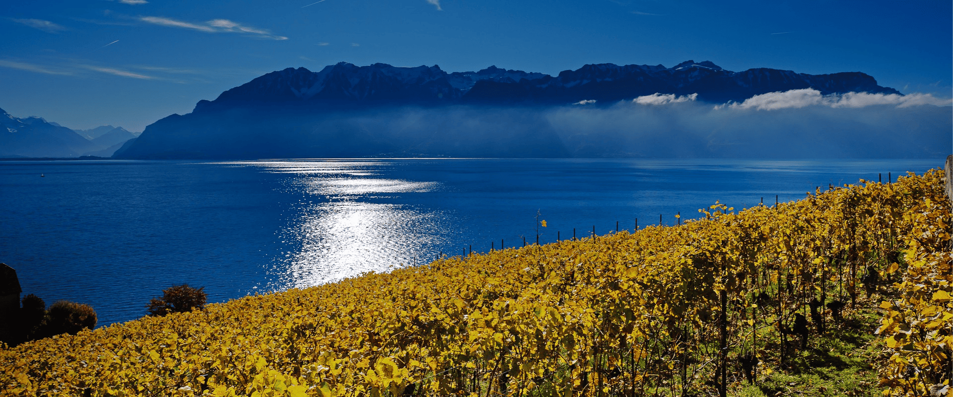 Terroir: você conhece este conceito e como ele define o vinho que você aprecia?