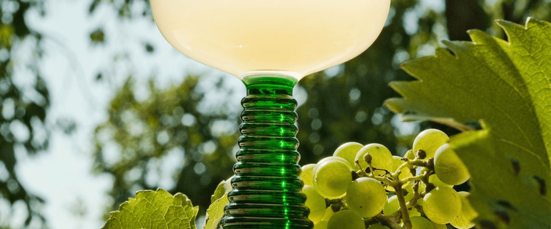 Débourbage: um processo simples, mas de nome complicado