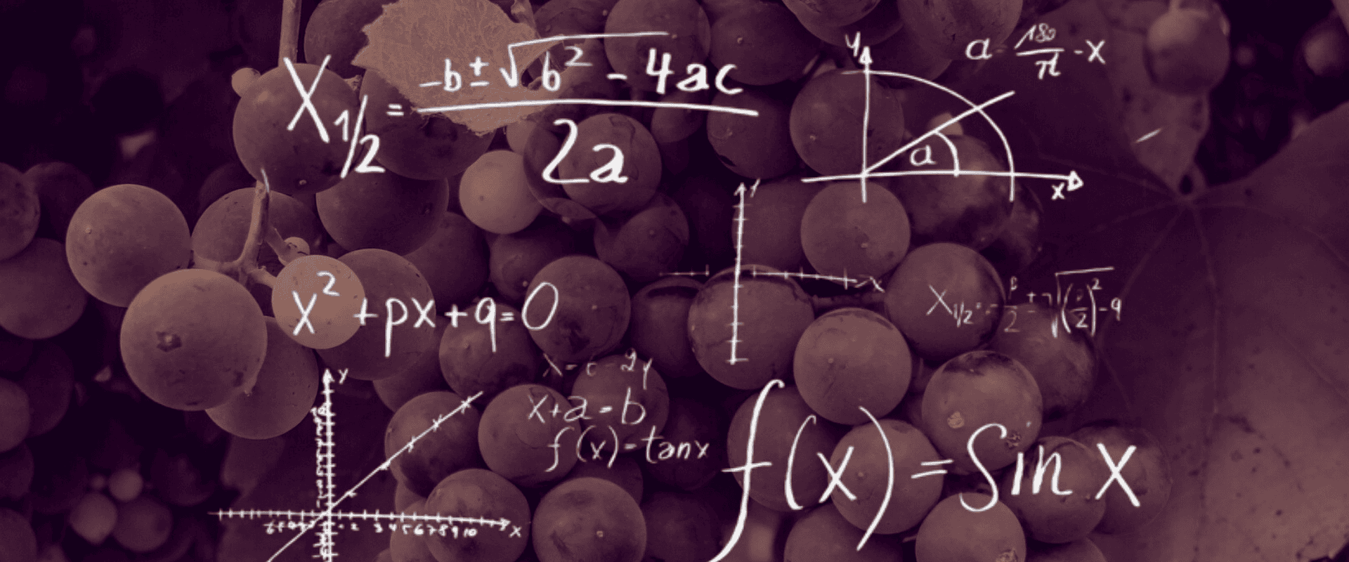 Qualidade dos vinhos: devo olhar para o rendimento dos vinhedos ou a densidade de videiras?