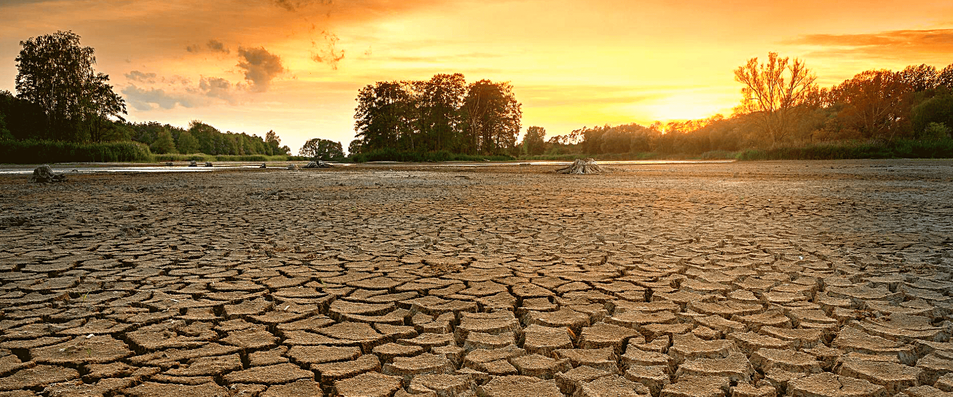 Seca na Europa e os vinhos da safra 2022: o que esperar?