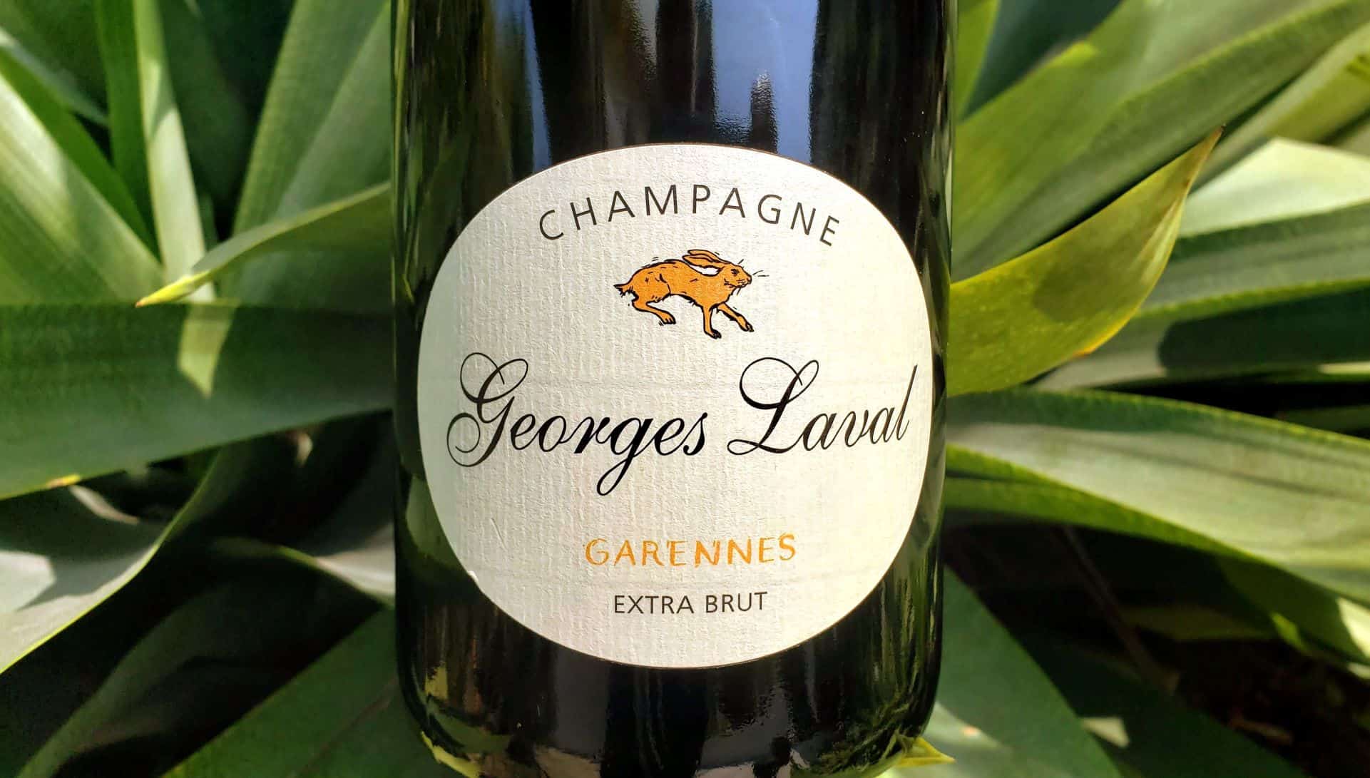 Garennes Extra Brut, Champagne Georges Laval - Wine Fun