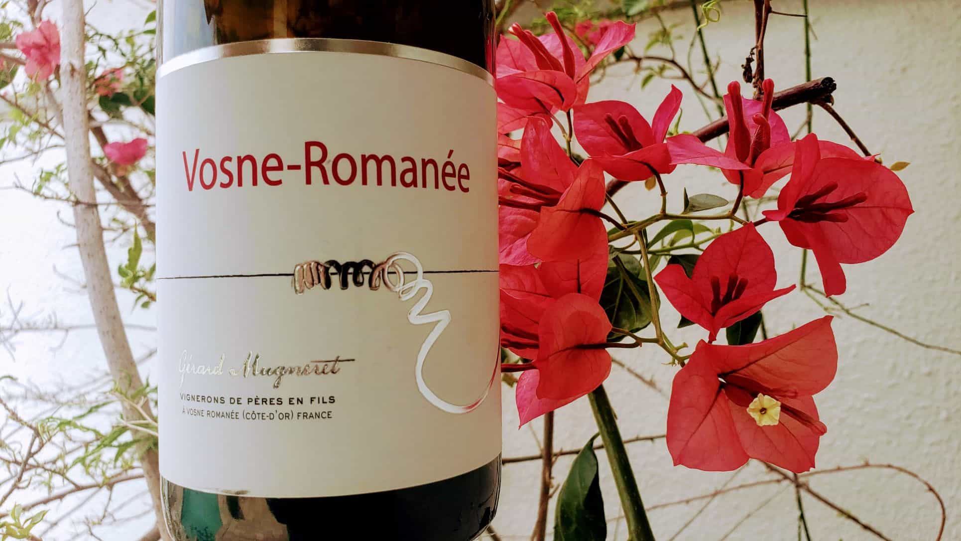 Vosne-Romanée 2016, Gérard Mugneret - Wine Fun