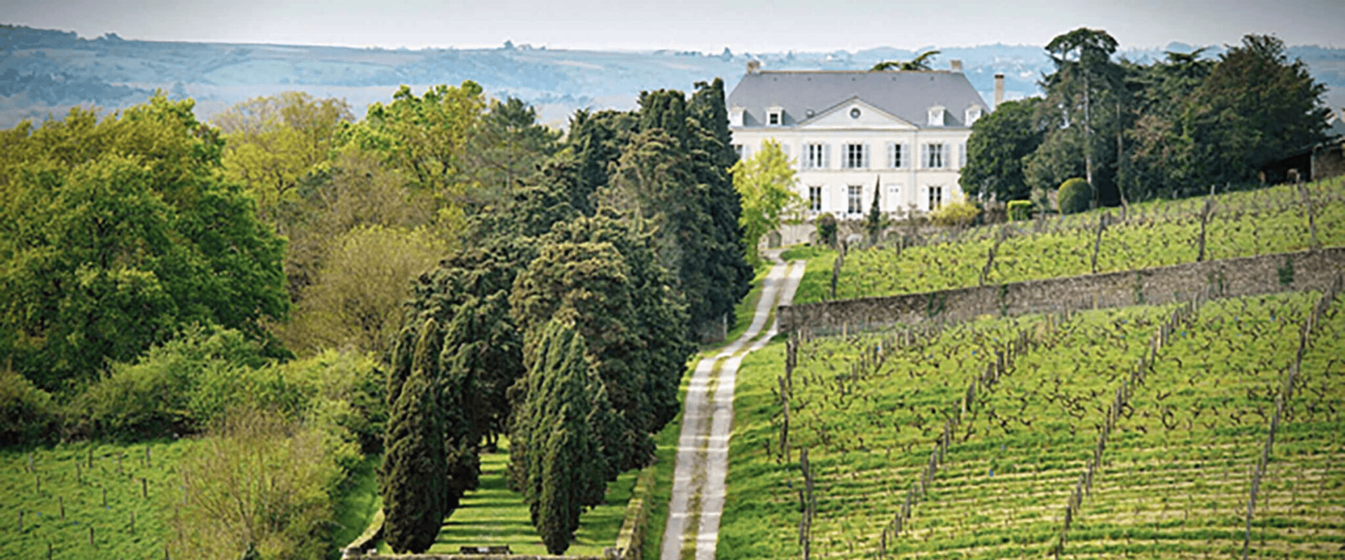 Coulée de Serrant: conheça a denominação de origem do Loire que