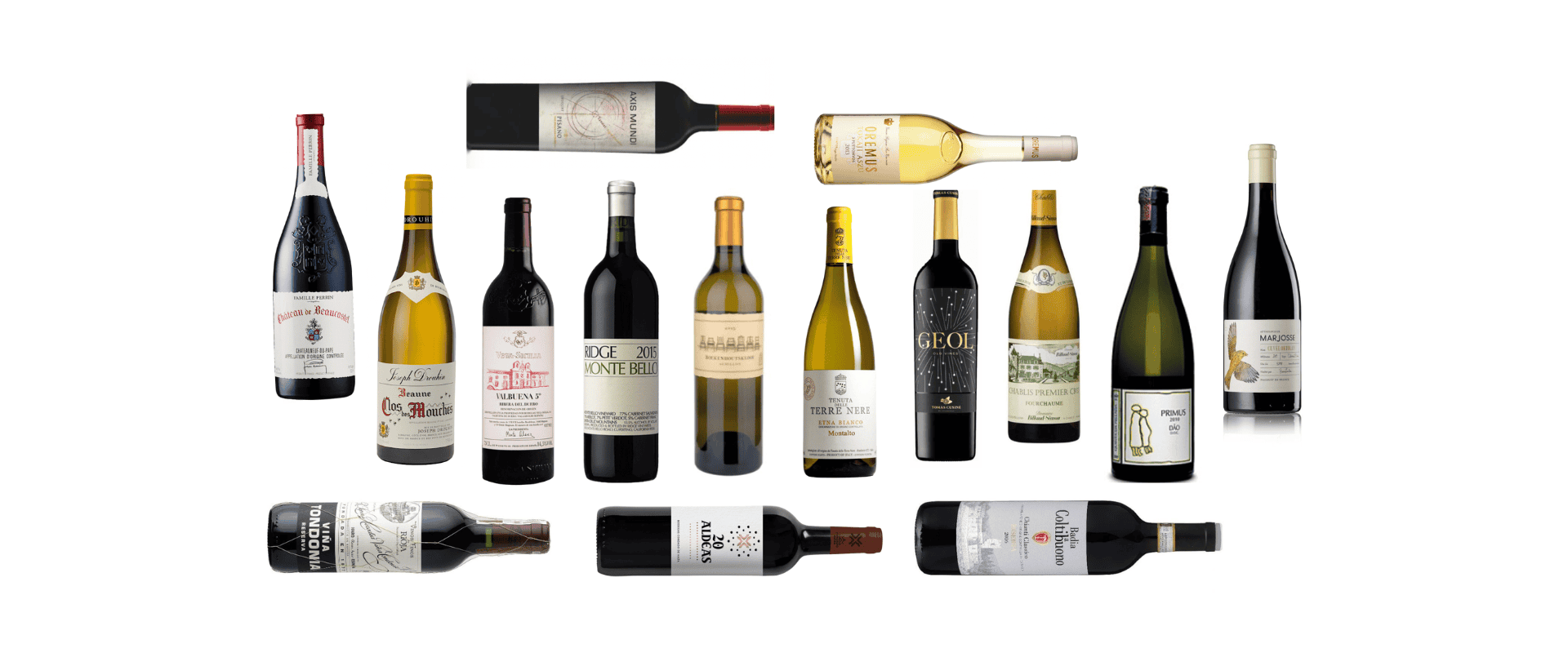 Encontro Mistral 2023: quinze vinhos que merecem atenção especial