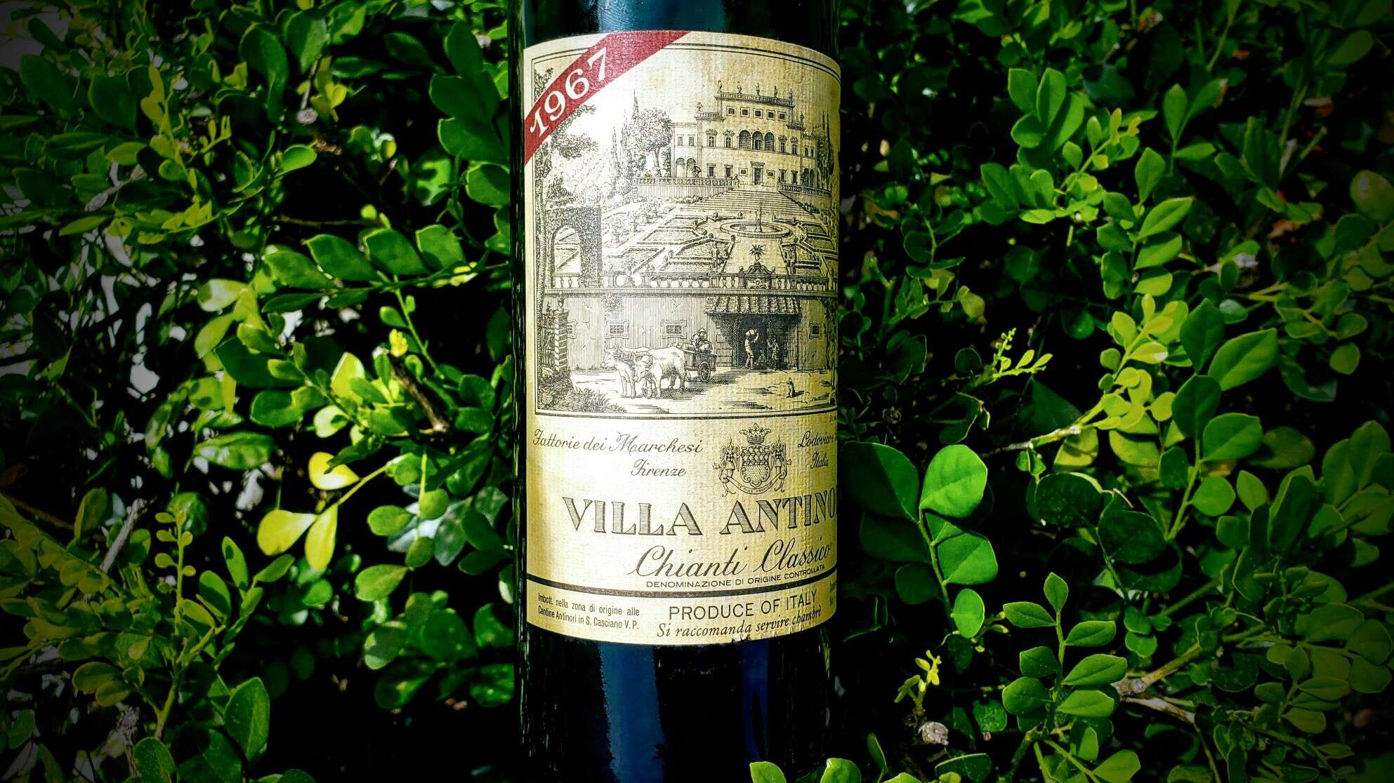 VillaAntinori1967Antinori.jpg