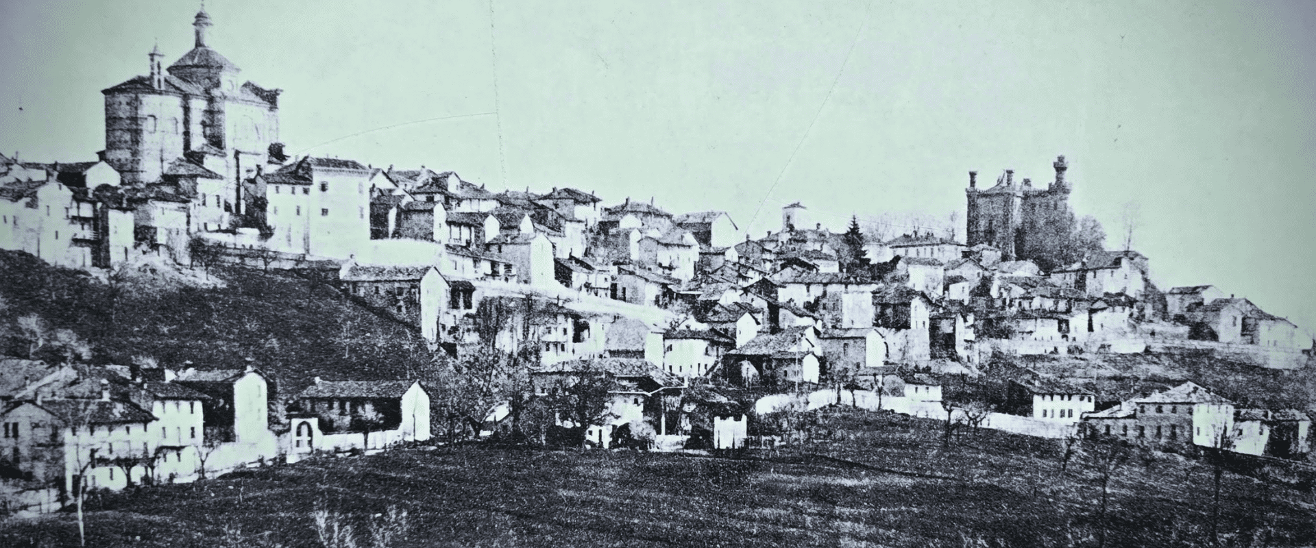 Você sabe o que são Barolos e Barbarescos Clássicos?