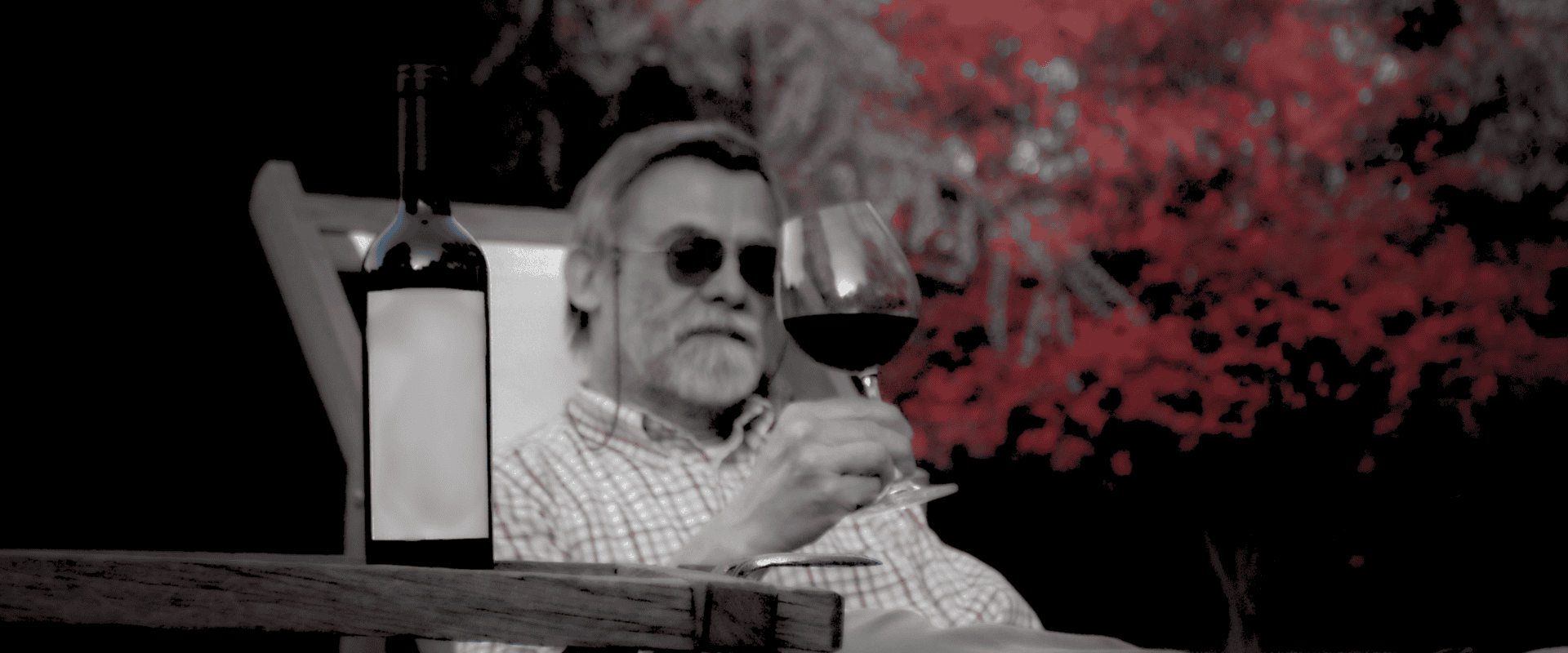 Sulfitos: como eles impactam os aromas e sabores do vinho?