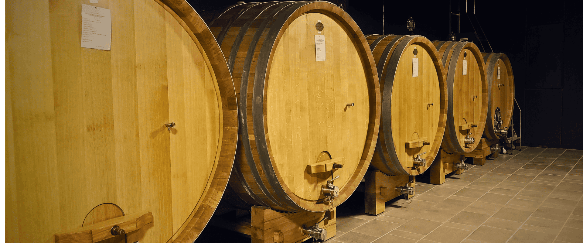 Fermentação em carvalho: vantagens, desvantagens e uma surpresa