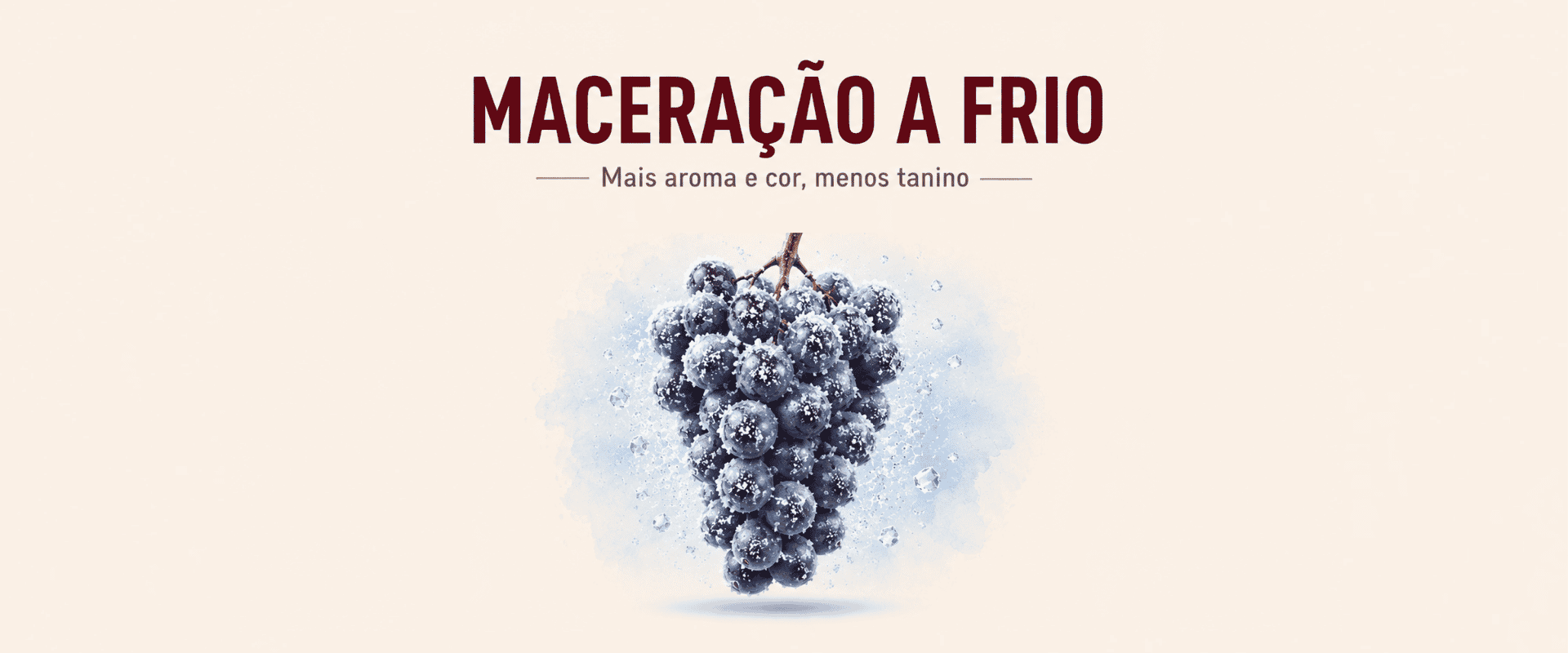 Maceração a frio: técnica da Borgonha que atrai novos seguidores