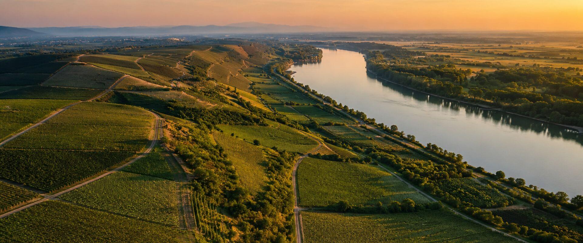 Link permanente para:Rheinhessen: do Liebfraumilch à maior diversidade do vinho alemão
