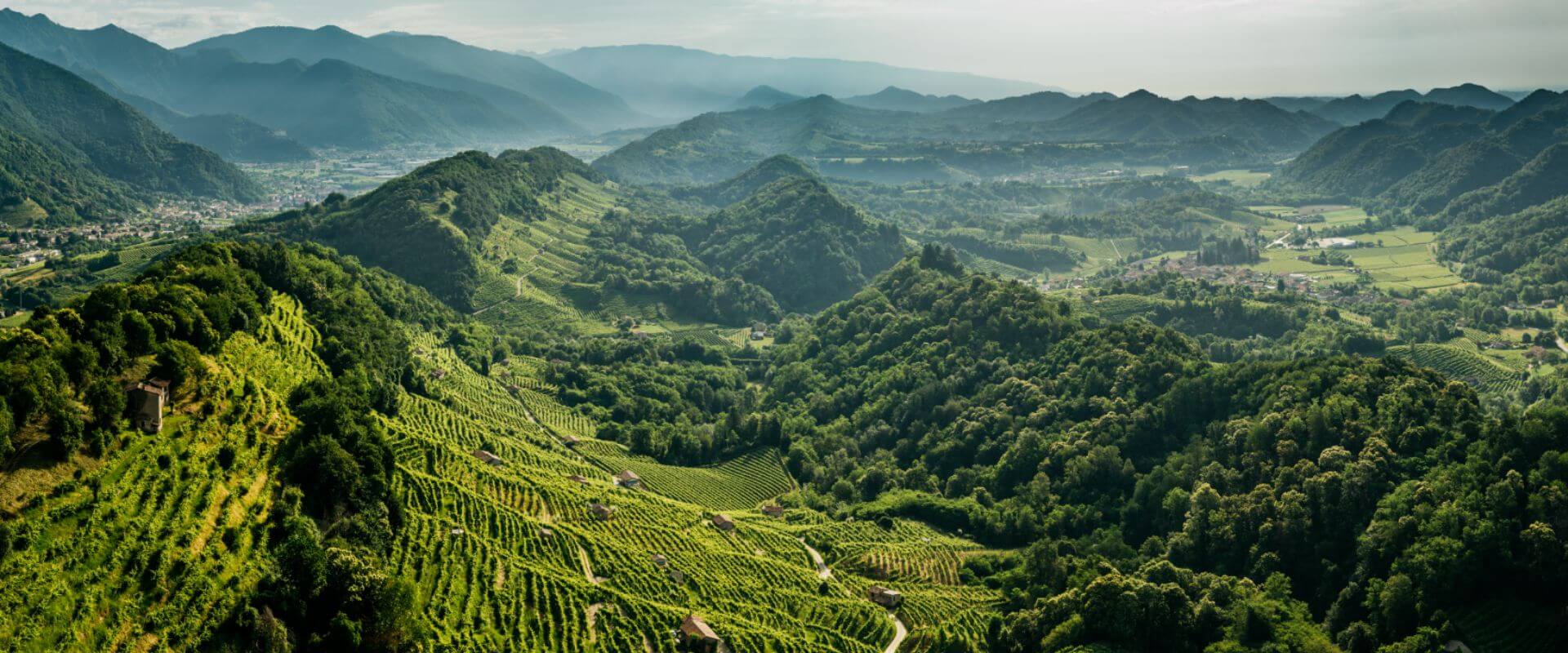 Link permanente para:Conegliano Valdobbiadene: um lado diferente do Prosecco